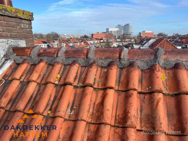Pannendak met nokvorst en schoorsteen, dakrenovatie in Hattem Pannendak met nokvorst en schoorsteen, dakrenovatie in Hattem