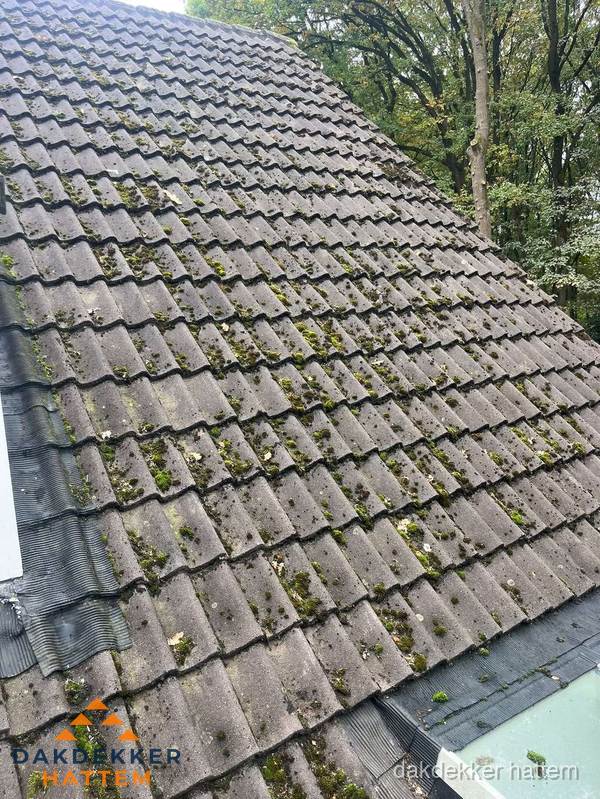 Verweerd pannendak met mosgroei dat renovatie nodig heeft in Hattem Verweerd pannendak met mosgroei dat renovatie nodig heeft in Hattem