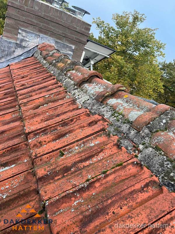 Verweerd hellend dak met mosgroei op nokvorst in Hattem Verweerd hellend dak met mosgroei op nokvorst in Hattem