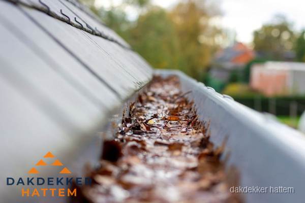 Verstopte dakgoot met bladeren schoonmaken in Hattem Verstopte dakgoot met bladeren schoonmaken in Hattem