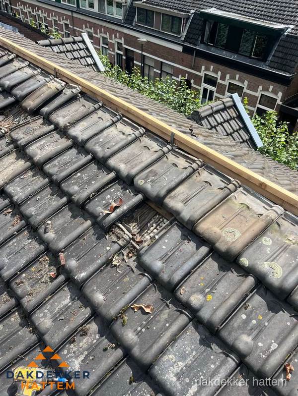 Dakonderhoud aan schuin pannendak met nokvernieuwing in Hattem Dakonderhoud aan schuin pannendak met nokvernieuwing in Hattem