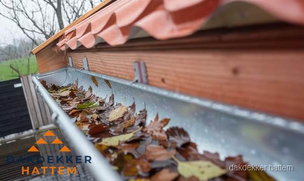Dakgoot vol bladeren die gereinigd moet worden in Hattem Dakgoot vol bladeren die gereinigd moet worden in Hattem